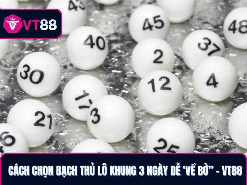 Bạch thủ lô khung 3 ngày VT88