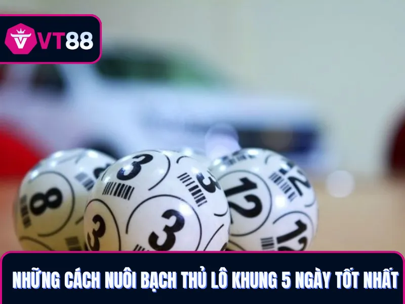 Phương pháp nuôi bạch thủ lô khung 5 ngày VT88