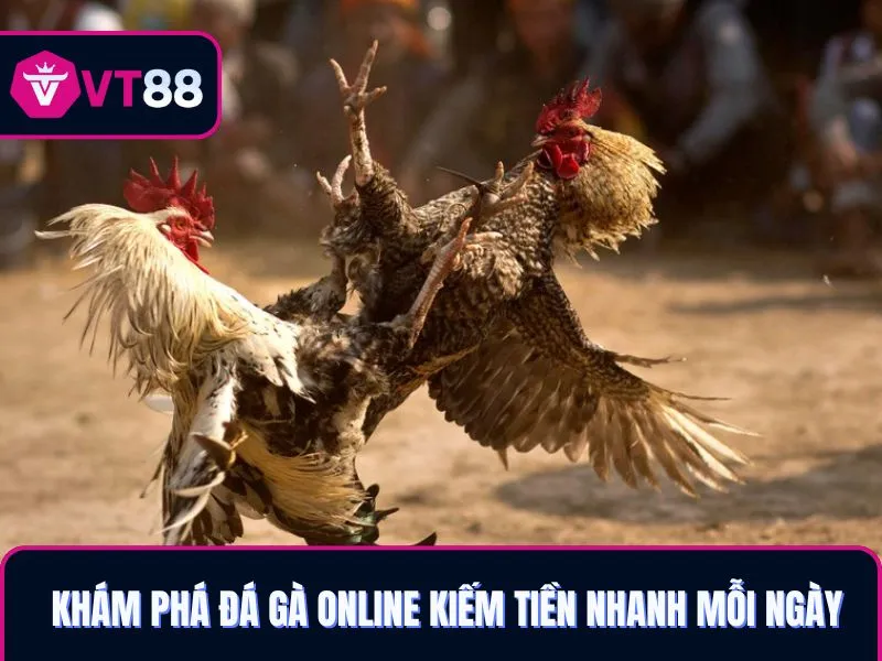 Khám phá đá gà VT88 kiếm tiền nhanh mỗi ngày