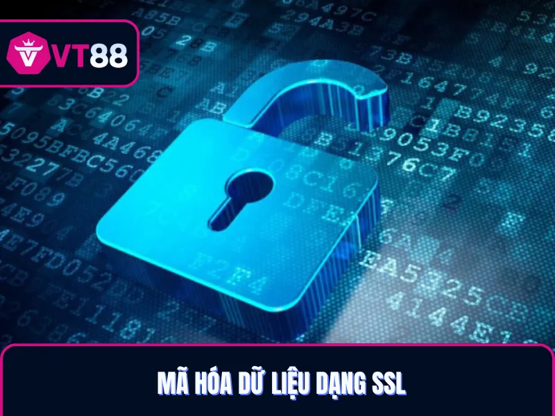 Mã hóa dữ liệu theo quyền riêng tư tại VT88