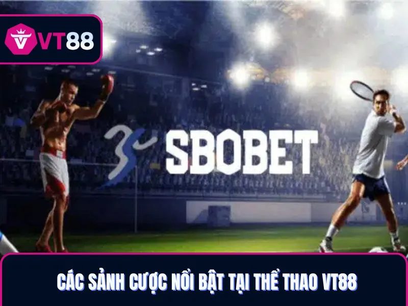 Các sảnh thể thao VT88 tên tuổi lớn, thu hút người chơi